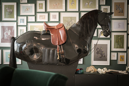 Gutschein Sitzanalyse und Training Reitsimulator